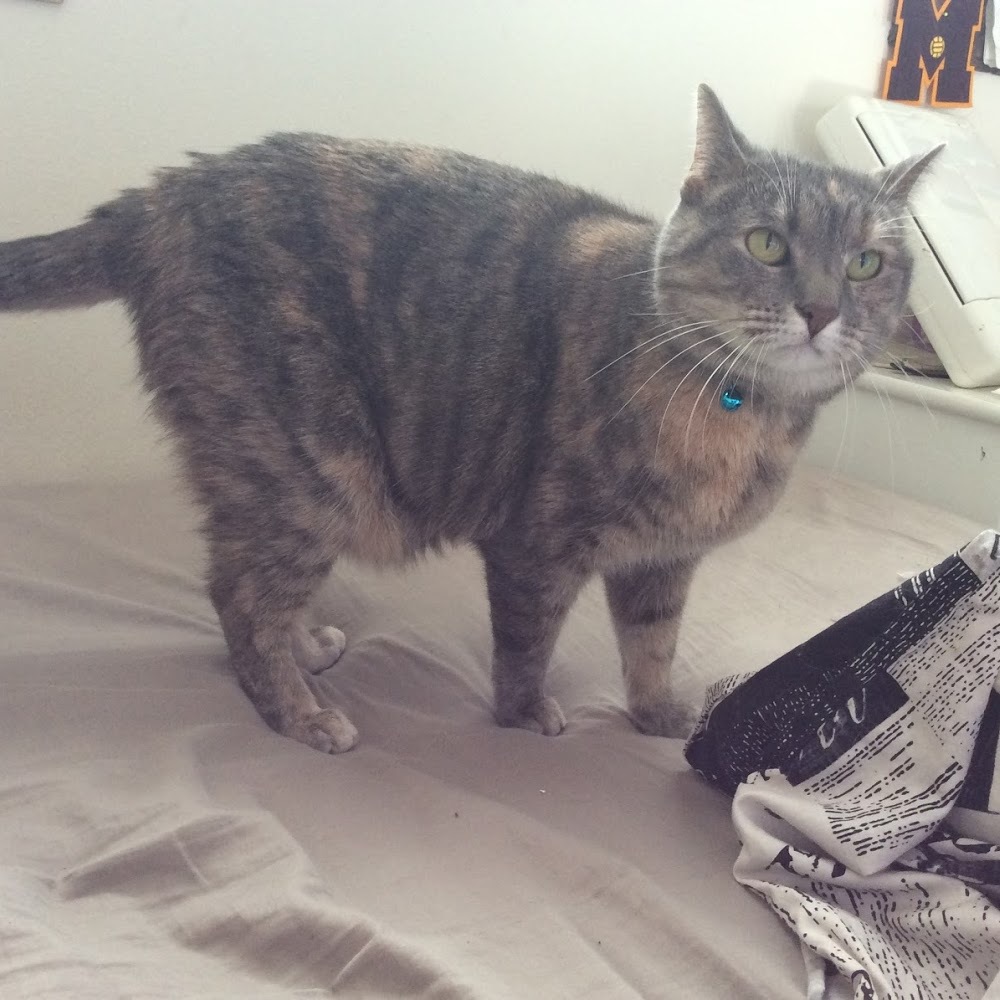 Meet your Posher, Jaine